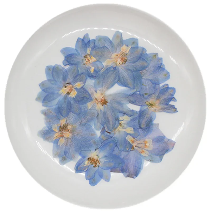 5~7CM/12PCS Real Natural Dried Pressed Delphinium Ajacis Flowers Heads In Blue For DIY Craft Resin Jewellery,Candle Making