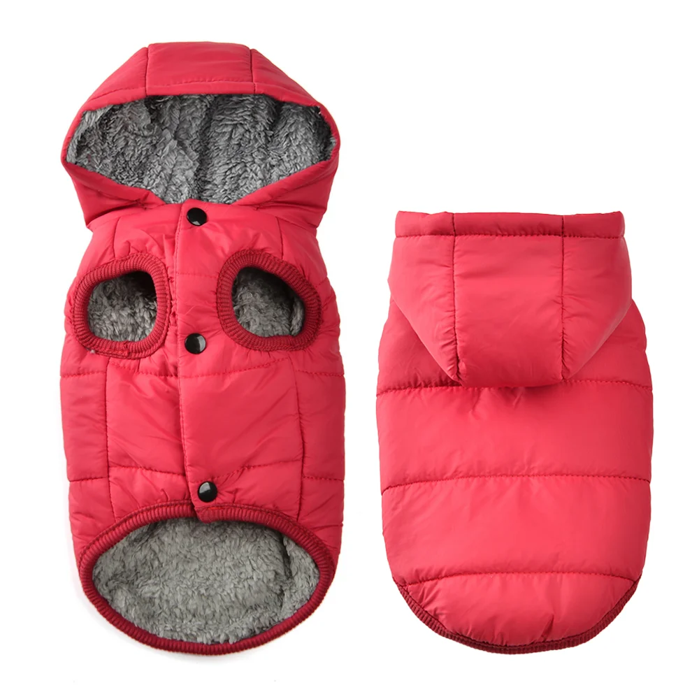 #49 Top Waterproof Dog Jackets Picks for Every Budget