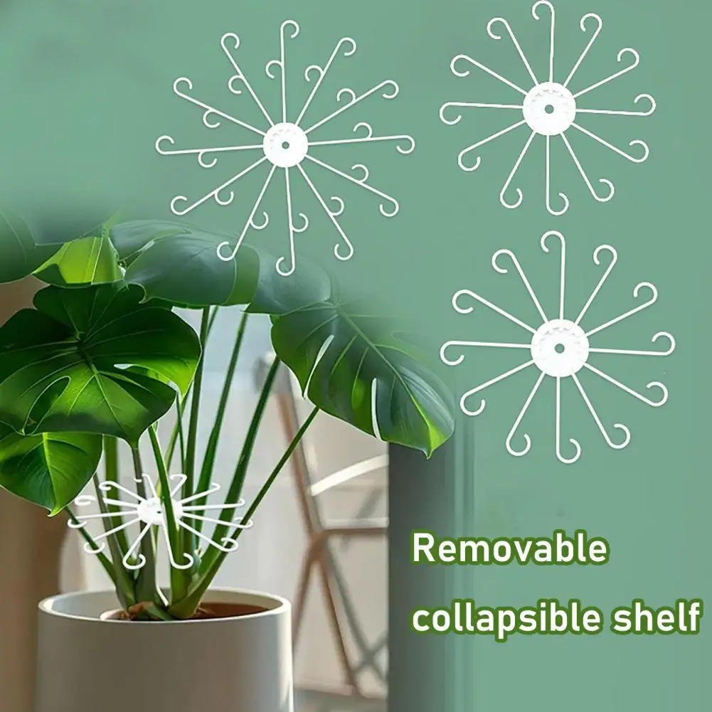 3Pcs/Set Plant Stem Holder Grapple Stem Support Reusable Monstera Clamp Support for Climbing Plants Leaves Stabilization Stems S