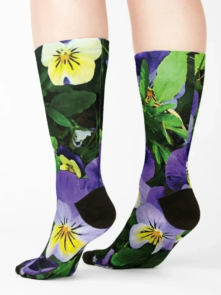 Pansies Socks halloween hiphop designer gift Socks Men Women's