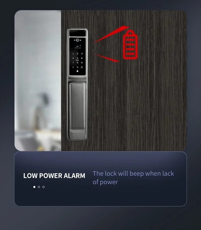 2025 Biometric Finger Print Scanner Smart Door  Electronic Digital Push Pull Automatic Smartlock