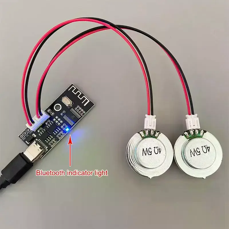 4Ohm 5W Resonance Vibration Speaker Bone Conduction Speaker With Bluetooth Amplifier Board For DIY Resonant Speaker