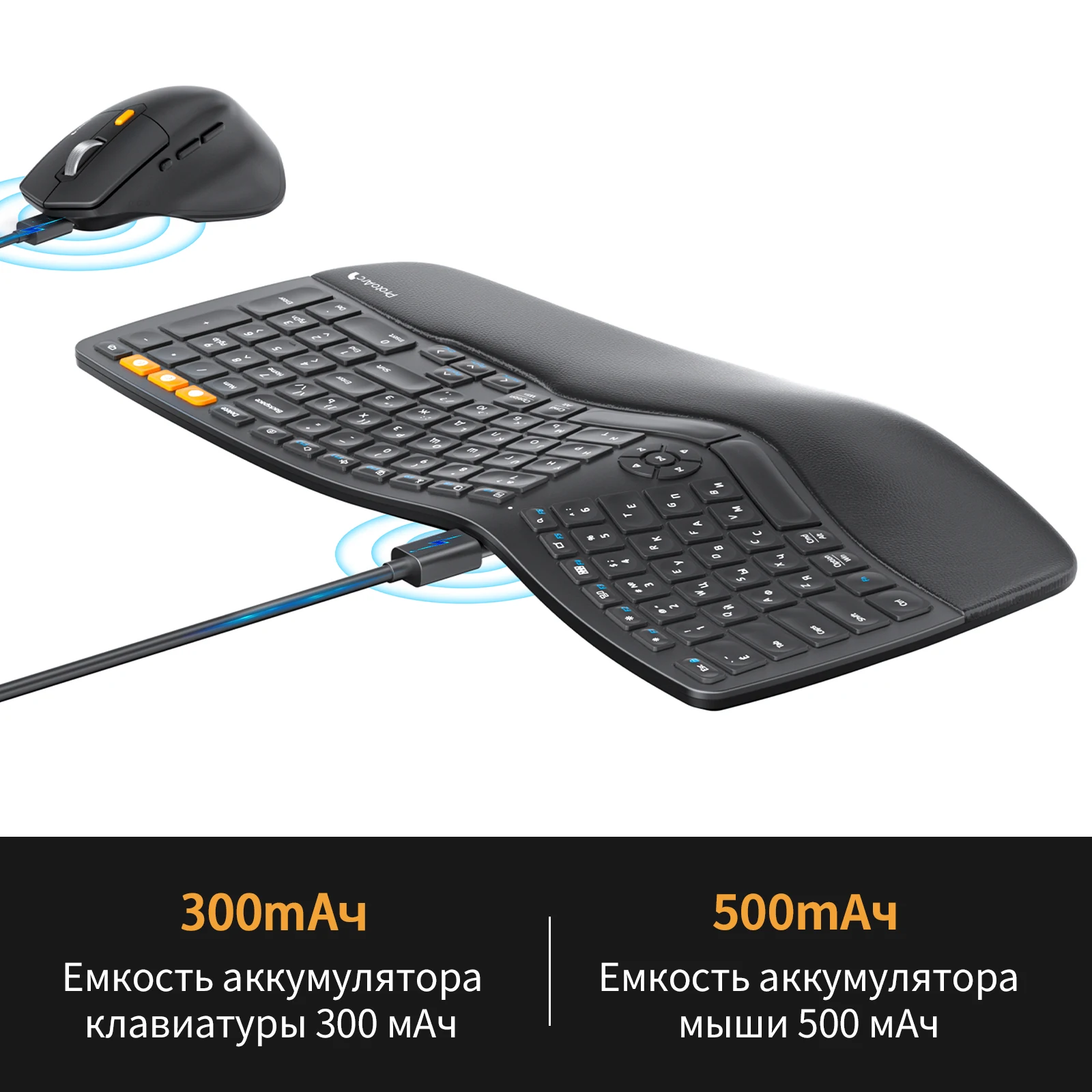 Imagem -04 - Protoarc-teclado Ergonômico sem Fio e Mouse Combo Russo Bluetooth para Windows Mac Android