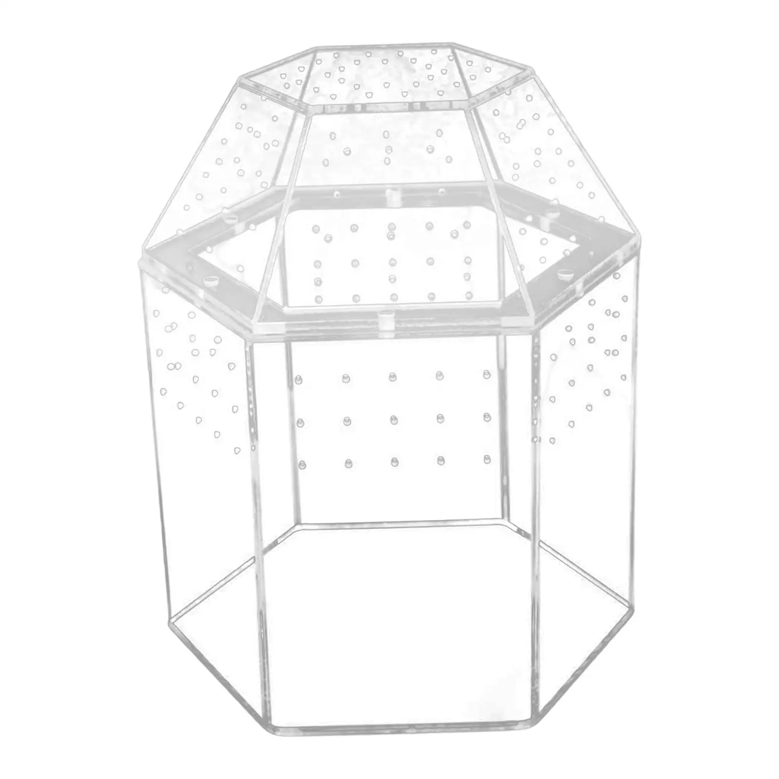 Kleines Transparentes Acryl-Reptiliengehäuse Terrarium Habitat Vertikale Spinnenbox für Springspinnen und Frösche