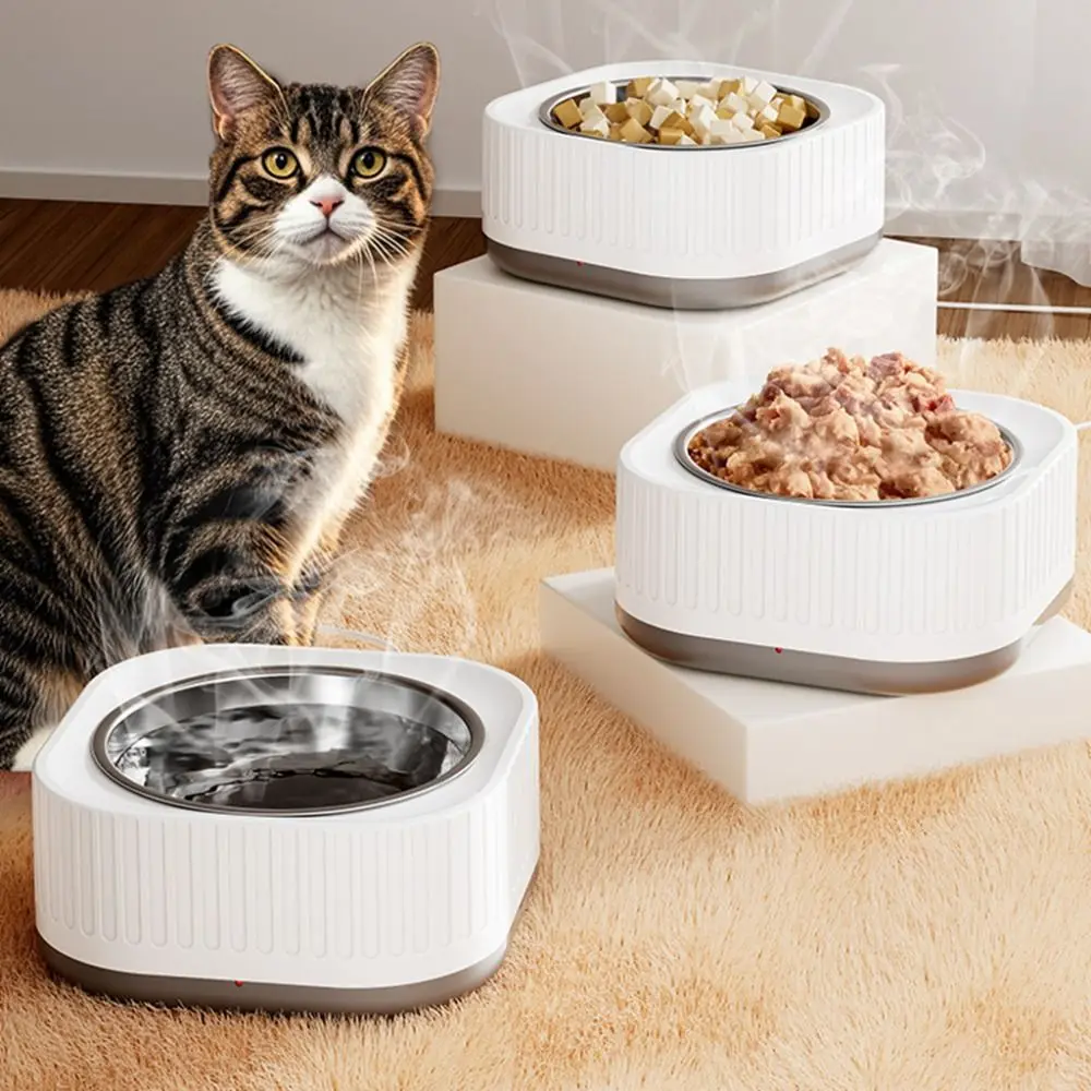 ABS Holder Constant Temperature Cat Bowl Removable 220V CCC 2 Plug Cat Heating Water Bowl Non-Skid Floor-standing