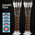 Spine500 24pcs