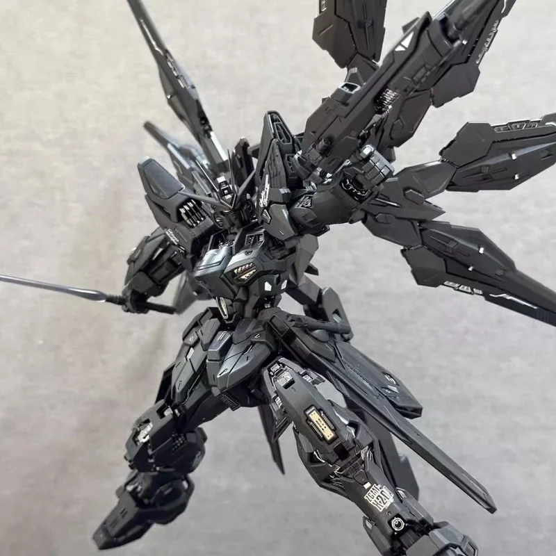 【متوفر في المخزون】 نموذج تشانغ - مراجعة Model Kit Infinite Dimension وسعره