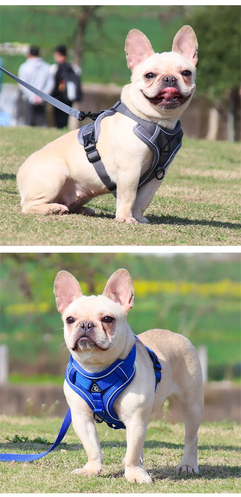 Reflektierendes Hundegeschirr und Leinen-Set für kleine bis mittelgroße Hunde, Haustierzubehör, Yorkies, Welpen, Katzengeschirr, Arnés Perro – Detail 9
