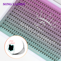 Song Lashes 6D 7D 8D 9D 10D 12D 14D Premade Fans Pointy Base Slim Thin Eyelash Extensions Mega Tray 12 Rows Makeup Tools