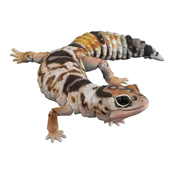 Genuine Gacha Scale Model Biological Cognitive Model Armadillo Wall Lizard Movable Decoration Action Figure Toys
