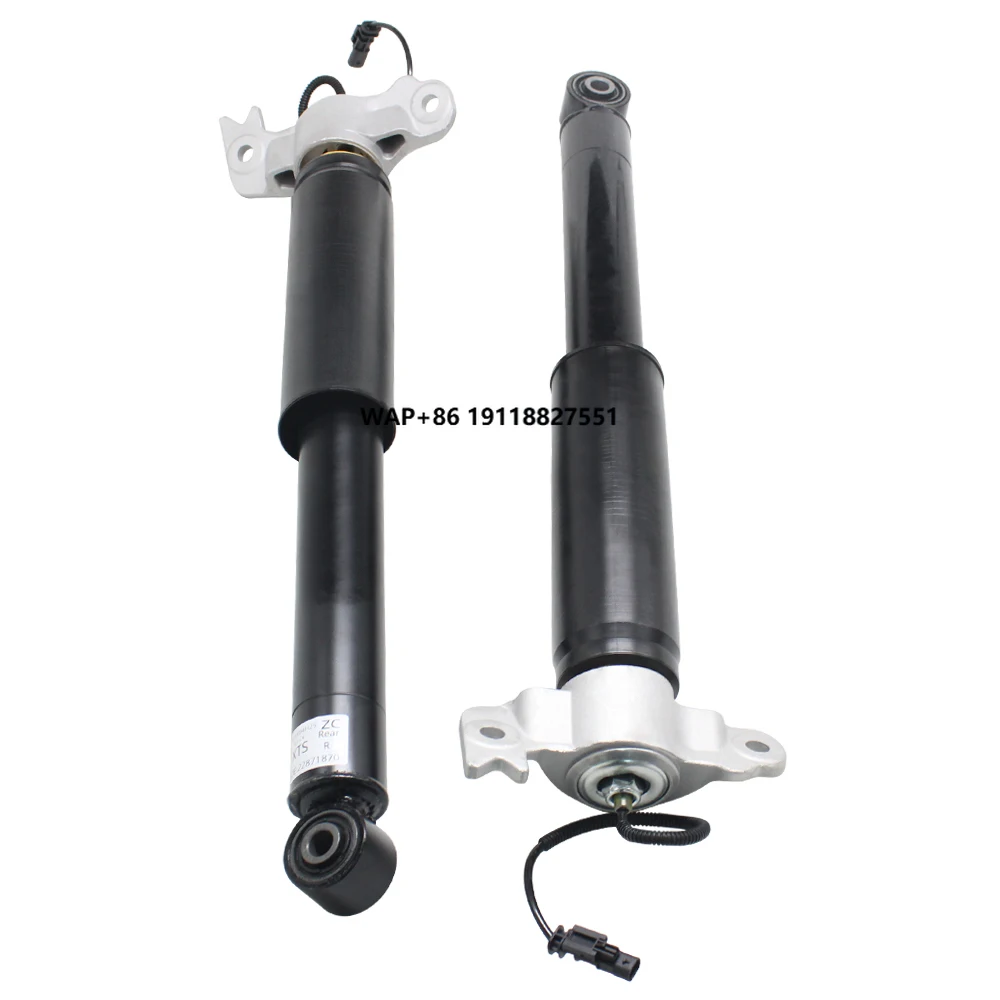 

Rear Airmatic Shock Absorber for Cadillac XTS 13-19 Left 84326293 19302782 Right 84326294 19302783 One Pair
