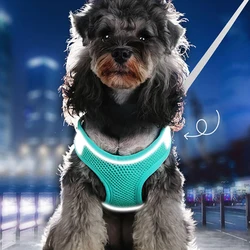 Kimpets Dog Cat Harness Vest Chest Rope Set Reflective Breathable Adjustable Pet Harness for Small Medium Dogs Outdoor Walking