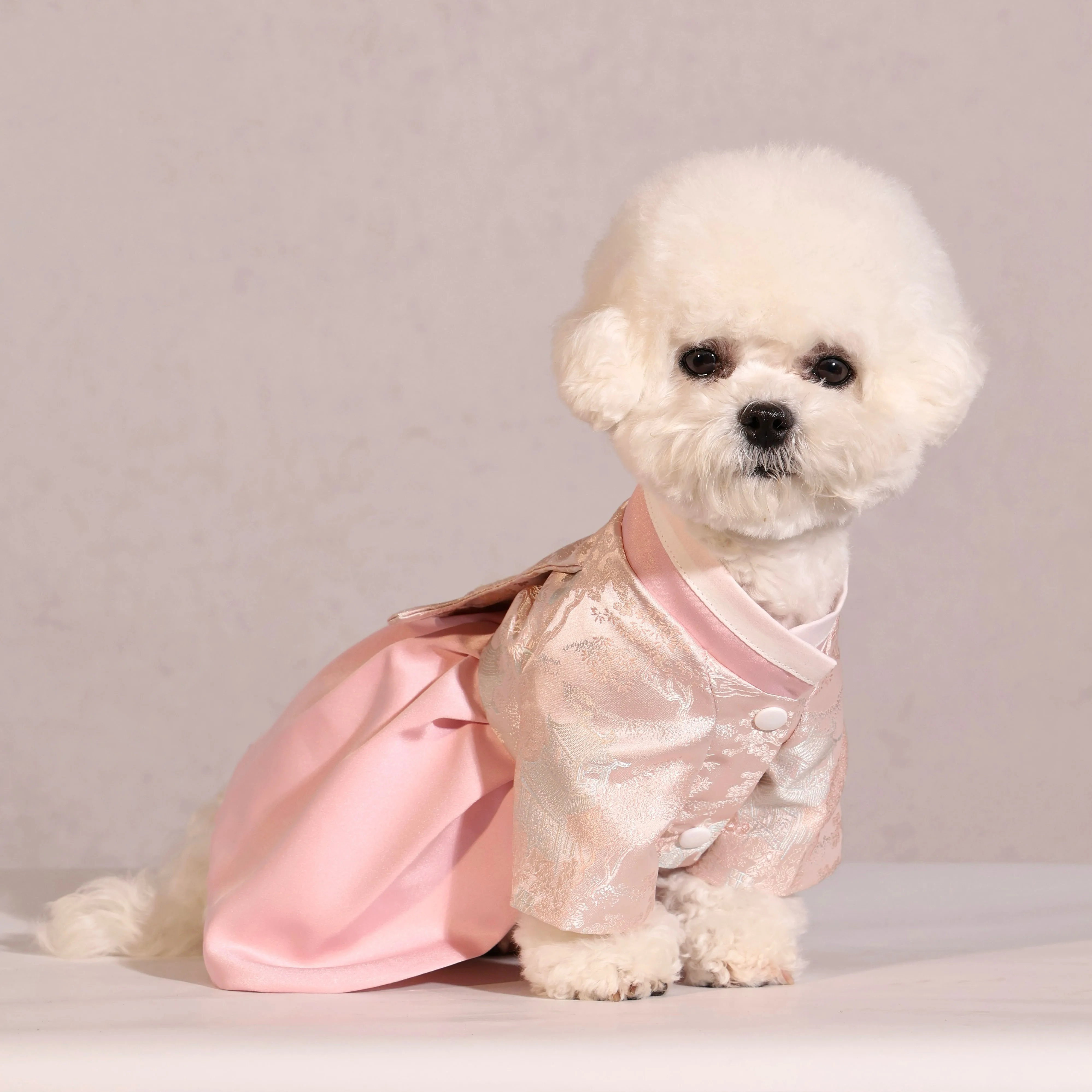 Traditional Sino-Korean Silk Dog Hanbok Dress | Yanji Princess Ethnic Costume | Two-Legged Pet Apparel for Small Dogs - AliExpress 15 Traditional Sino-Korean Silk Dog Hanbok Dress | Yanji Princess Ethnic Costume | Two-Legged Pet Apparel for Small Dogs - AliExpress 15