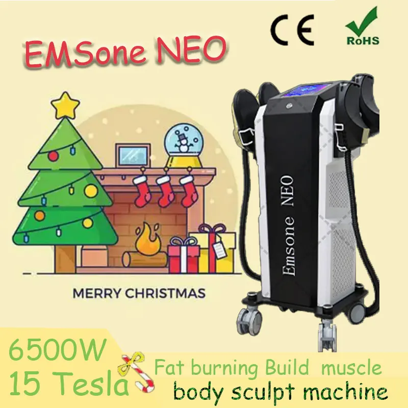 

Portable EMS Electromagnetic Muscle Stimulator Professional Body Shaping 6500W EMSone NEO RF Burning Body Fat 15 Tesla