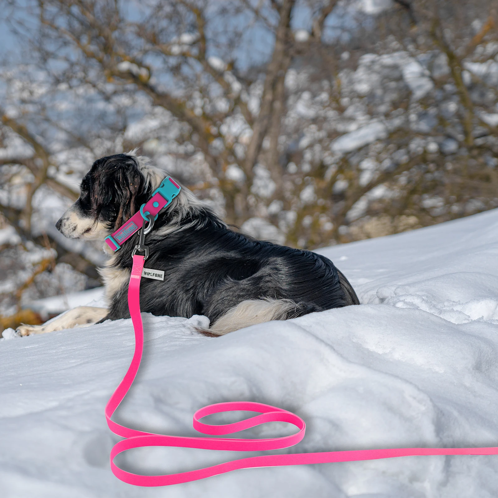 PVC Lange Hundeleine 1,5m 3m 6m Robustes Trainingsseil für Kleine und Große Hunde Langlebig, Wasserdicht Hundezubehör – Detail 8