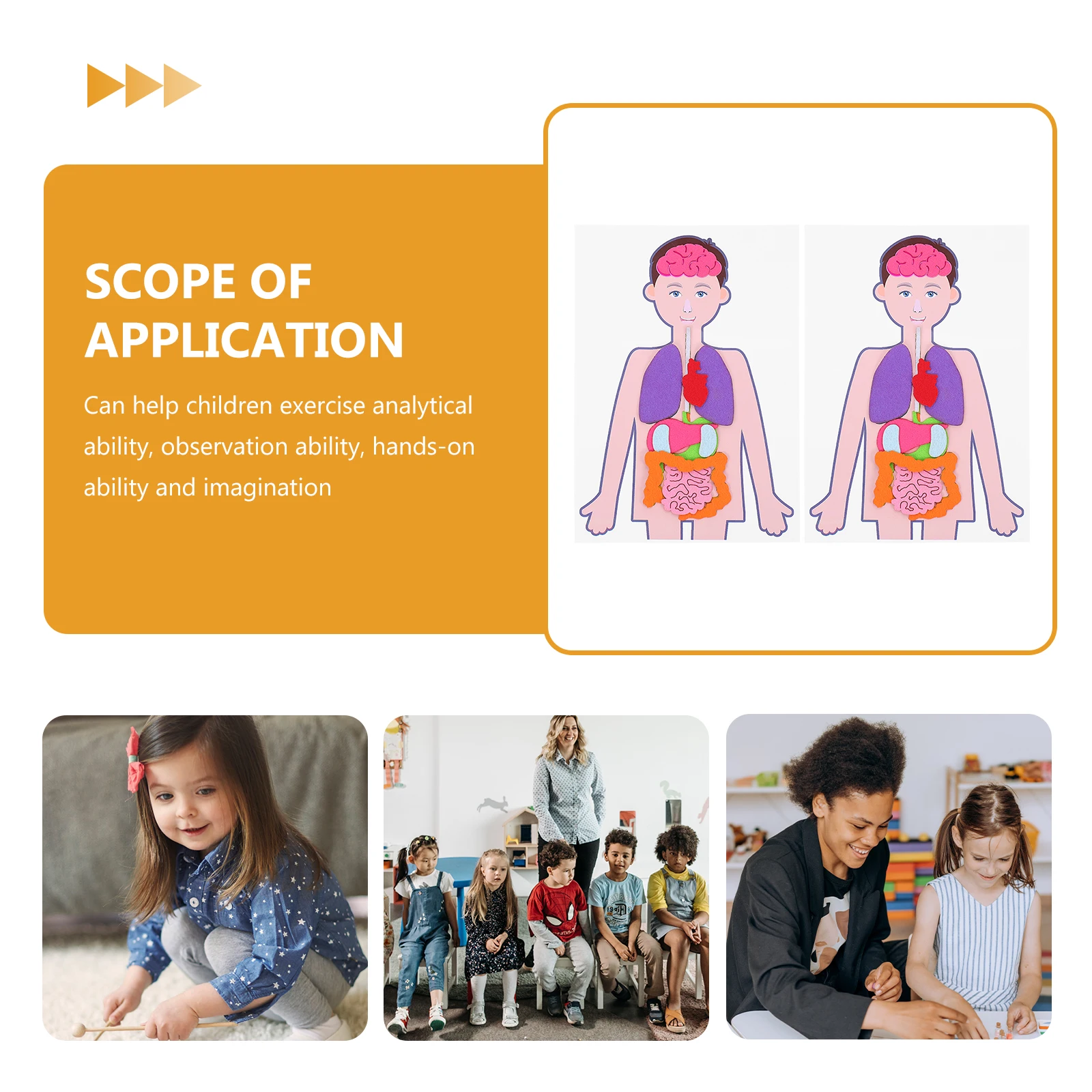 

2 Sets Teaching Aids Child Models Educational Fabric Human Body Anatomy Toy Organs Model Learning Development Cognitive