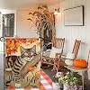 Happy Fall Cat Garden Flags for Outside 12x18 Inch Double Sided Thanksgiving Garden Flag Autumn Flag for Outdoor Lawn Yard I jjp