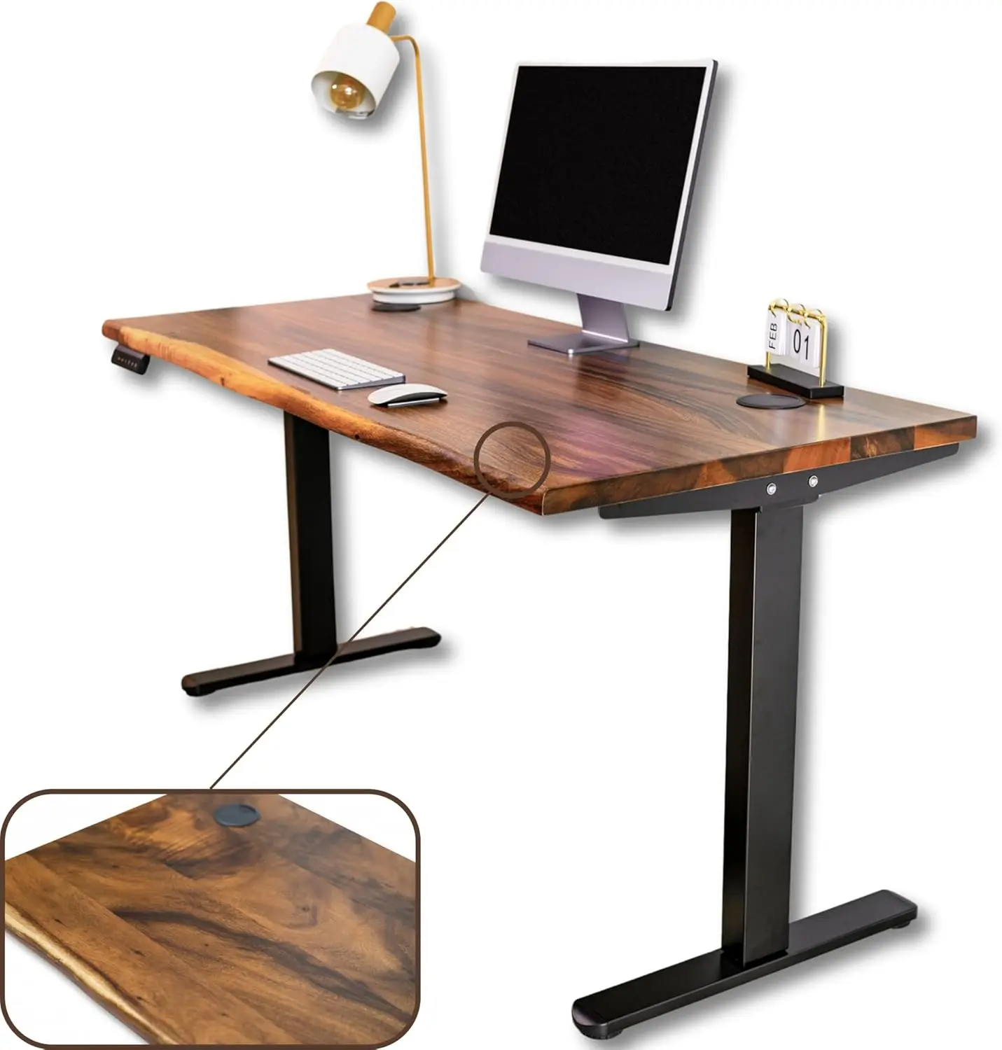 Standing Desk Walnut Solid Wood Desk, Live Edge Adjustable Height Desk, Dual Motor Sit Stand Desk for Home Office ( W60 x D27)