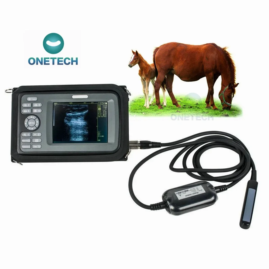 

V6 Hotsale animal obstetric appliance handscan veterinary ultrasound scanner with convex,rectal linear and microconvex probe