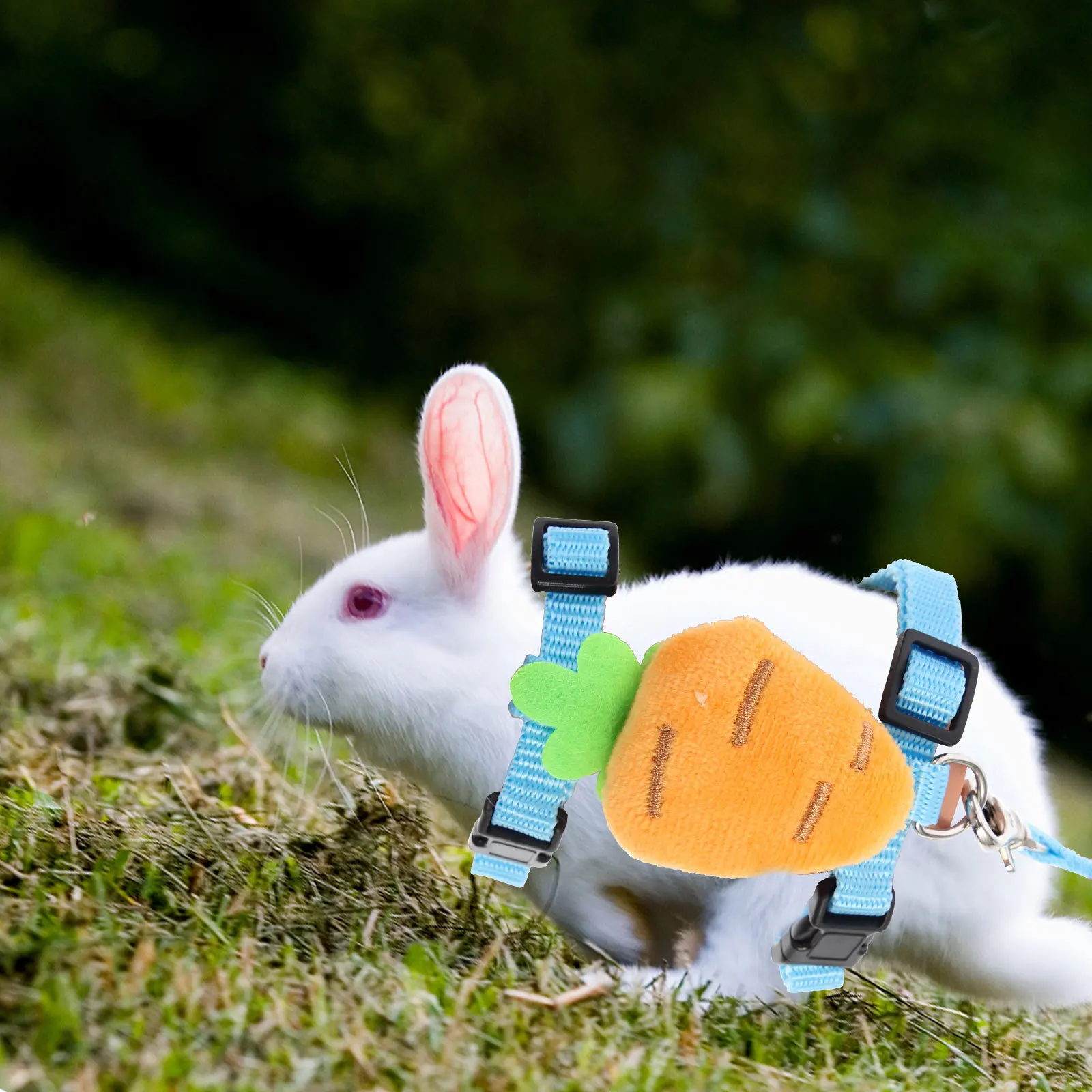 

2Sets Lovely Rabbit Harness Adorable Durable Buckle Adjustable Comfortable Breathable Small Pet Harness Kit Bunny Decor