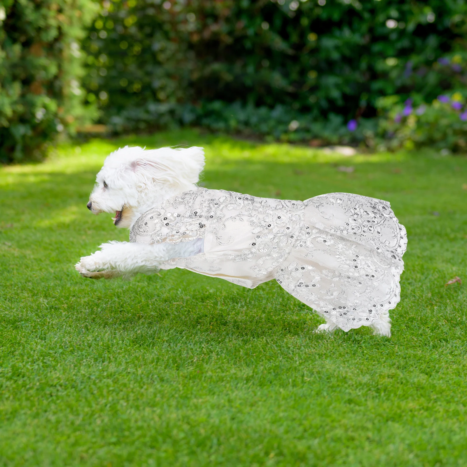 

Pet Dog Wedding Dress Gold and Silver Lace Outfit Fancy Clothes Puppy Outfits Costume for Dogs