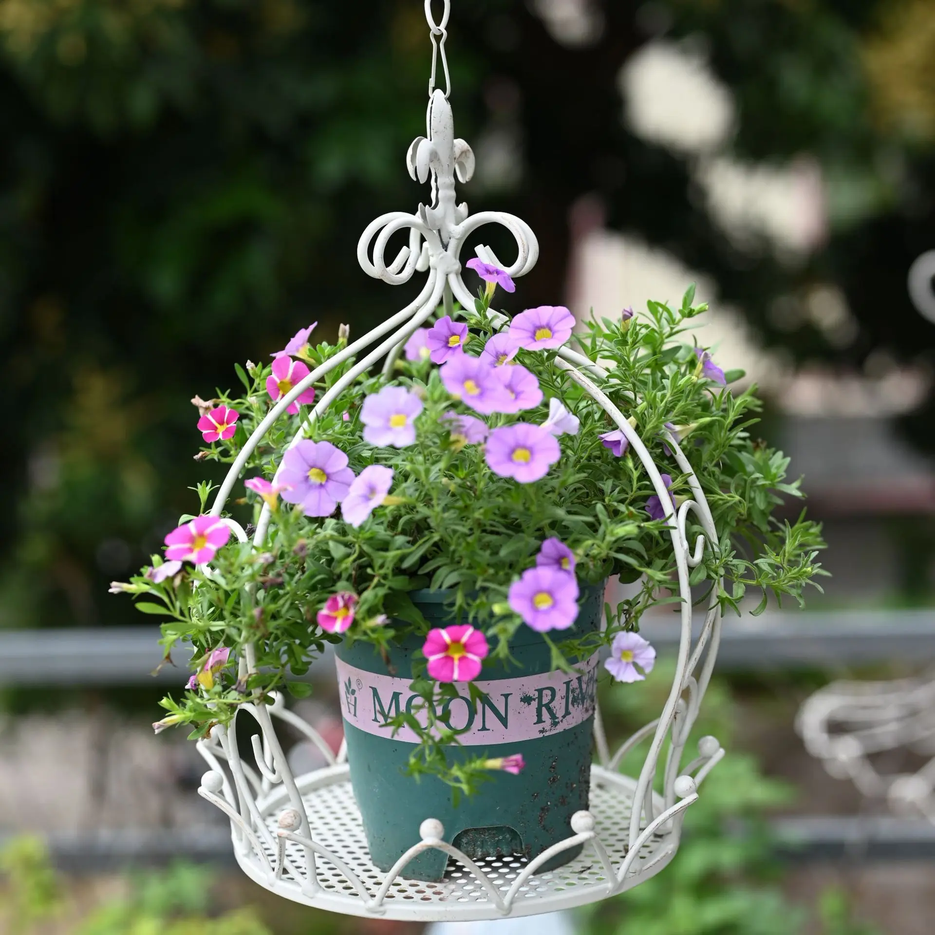 

American wrought iron crown hanging basket outdoor courtyard old