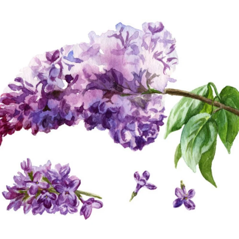 ยางล้อทราย 4 ชิ้น ขนาด 1/12 สำหรับรถบังคับวิทยุ Wltoys รุ่น 124016/124017/12428 รถบักกี้ รถบรรทุก สำหรับวิ่งบนหิมะและทะเลทราย ยางแบบ Paddle ขนาด 62X98-40 อะไหล่สำหรับอัพเกรด