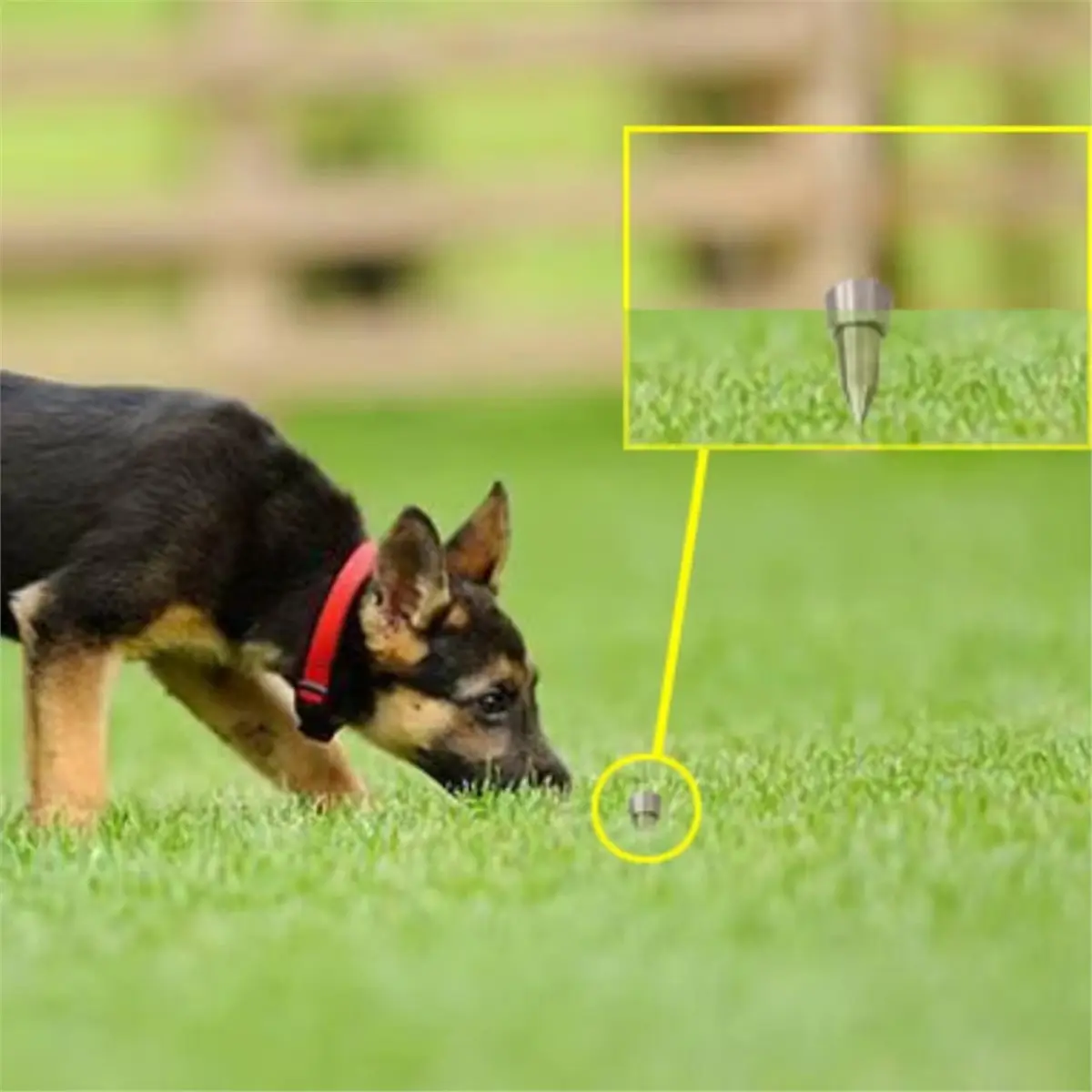 Homegood Scent Detection Dog Training Box Stainless Steel Search Sniffer Canine Puppy Nose Work Obedience Agility Durable Slip