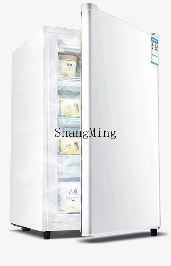 ZYY piccolo congelatore domestico piccolo frigorifero congelatore verticale congelatore completo