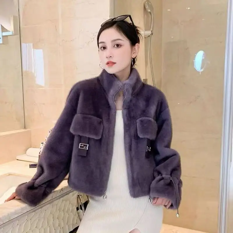 Winter nieuwe nepbontjas luxe merk imitatie nertsenbont jas dames korte pluche top rits warme bovenkleding ontwerp jas