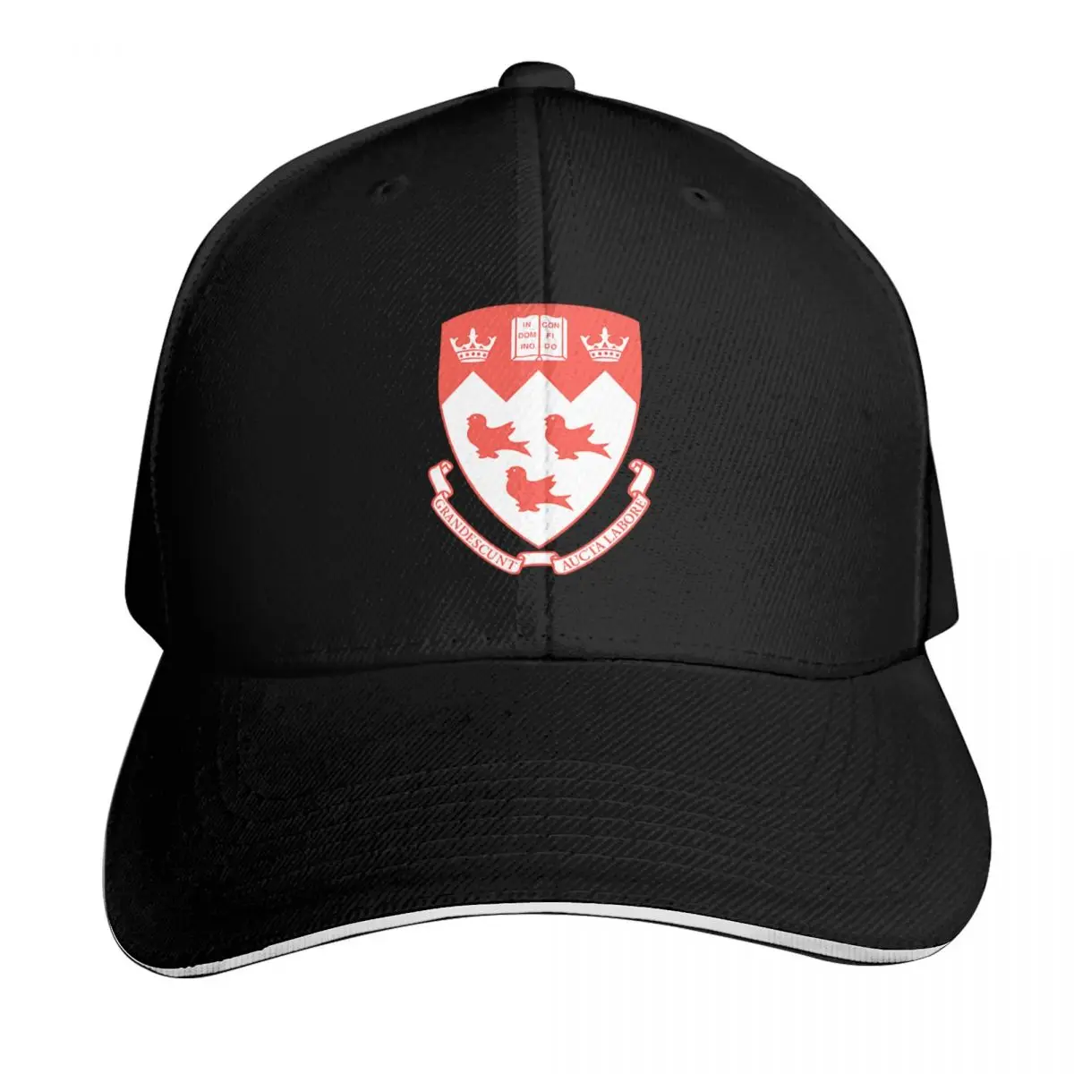 Canadian Of University, marty, mcgill university logo, canadian university, martlet, french - james mcgill, Baseball Cap