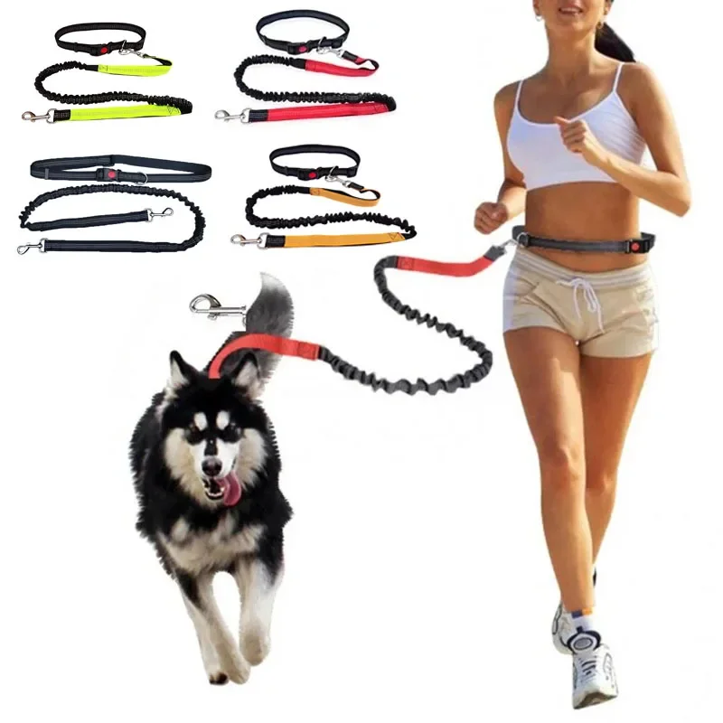 Durable Elastic Nylon Dog Leash with Comfortable Grip – Perfect for Running, Walking & Active Dogs