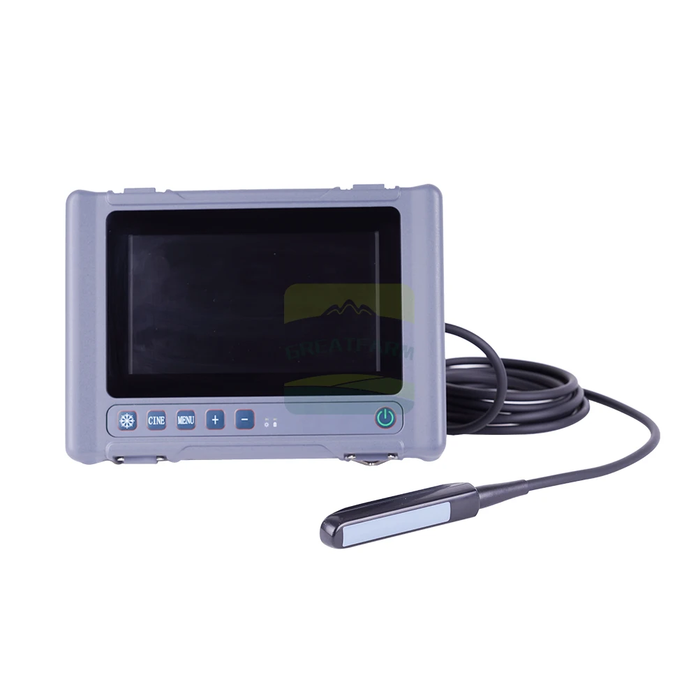 Vet Cow Ultrasound Scanner Spanish Russian New UpgradedT1 with Rectal Probe Horse Camel Sonar Scanning Machine