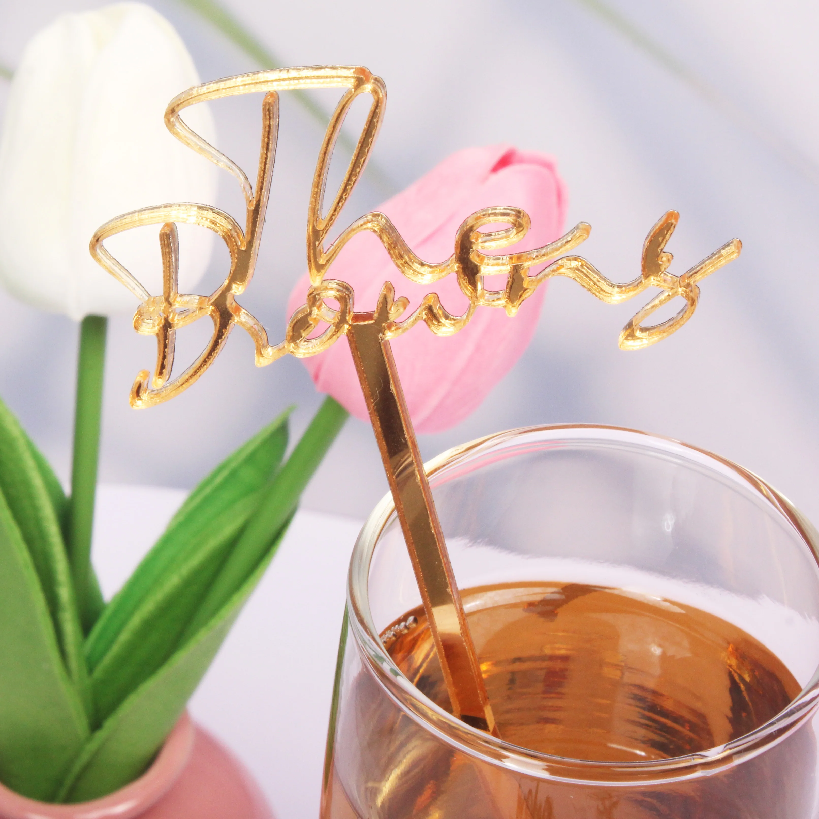 مخصص كوكتيل بار اكسسوارات الزفاف الجدول محور شخصية الفولاذ المقاوم للصدأ اسم الضيوف حفلة شرب النمامون