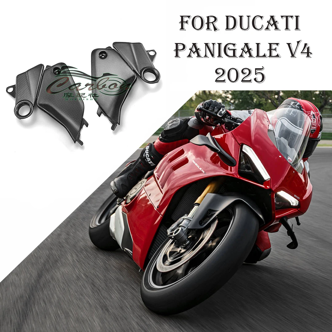 

For DUCATI Panigale V4 2025 carbon fibre oil tank