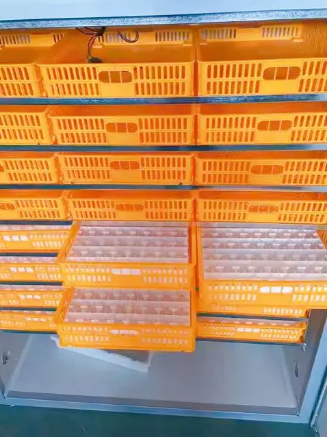 Automatic Goose Duck Bird Incubator 3000 Eggs Solar & AC Powered (220V) New High Hatching Rate