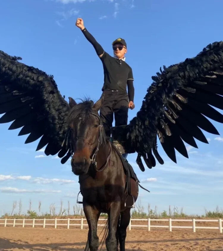 Pegasus electric telescopic wireless remote control with saddle equestrian performance photography Pegasus
