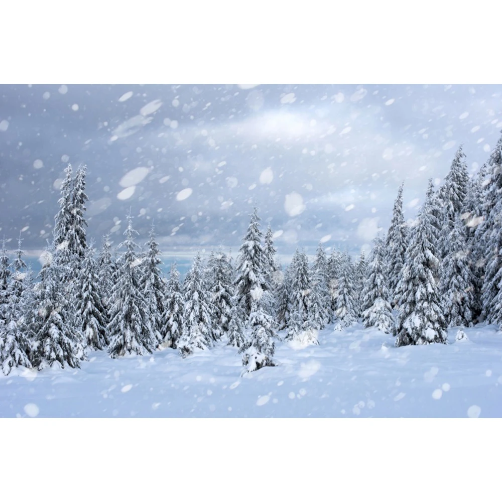 Winter Snow Scene Backdrop for Christmas Photography Forest Mountain Natural Landscape Snowflake Portrait Backgound Photo Studio