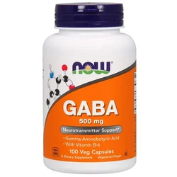 GABA 500 Mg Gamma Aminobutyric Acid with Vitamin B-6 100 100 Capsules