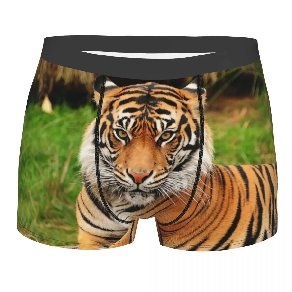 

Tiger Underpants Breathbale Panties Male Underwear Print Shorts Boxer Briefs