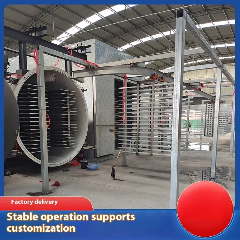 Large Processing Vacuum Drying hine for Chinese Medicine Fruit