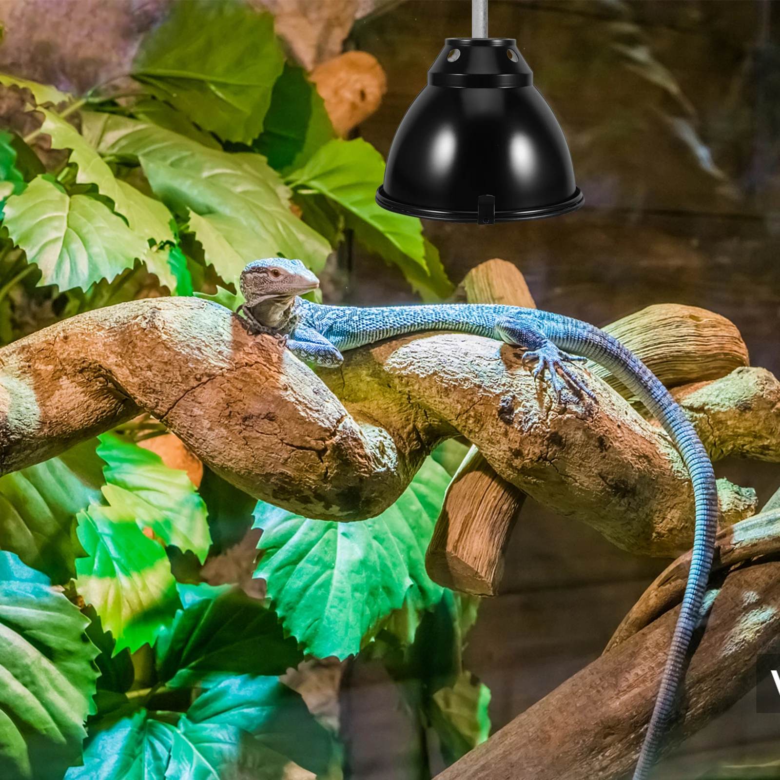 

1Set Anti-Scald Dome Light Cover Aluminum Reptile Heat Lamp Shade Safe Heat Protection for Breeding Boxes Turtle Lizard Lamp