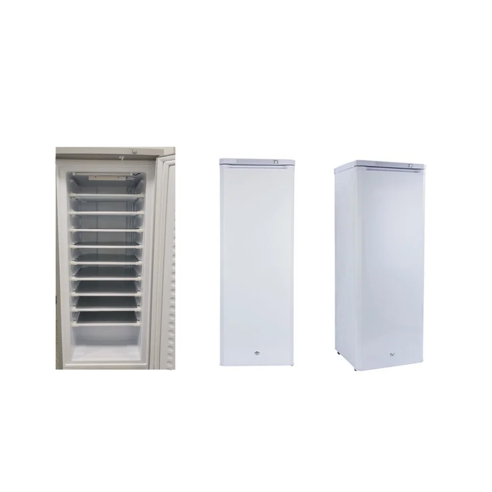 

Dual power DC 24V 198L 10/11/7 ice vertical freezer