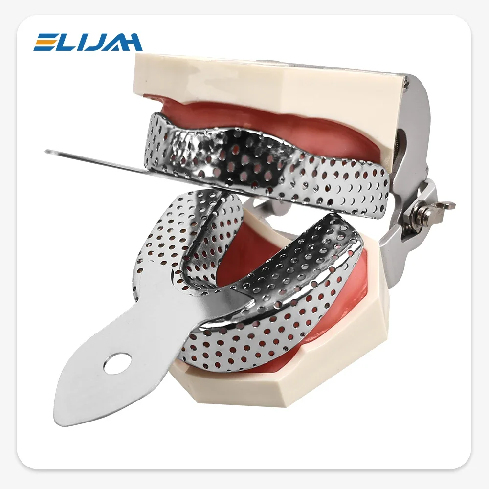 XYSZ 2Pcs Stainless Steel Dental Impression Trays Upper Lower Teeth Holder  Autoclavable Denture Teeth Tray Dental Lab Tools