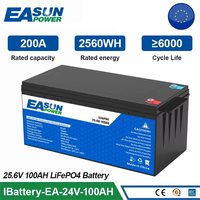 EASUN POWER LiFePO4 Battery 200AH 100AH 12V 24V BMS Rechargeable Lithium Bateria Pack for Camping Car Solar HOT Dropshipping