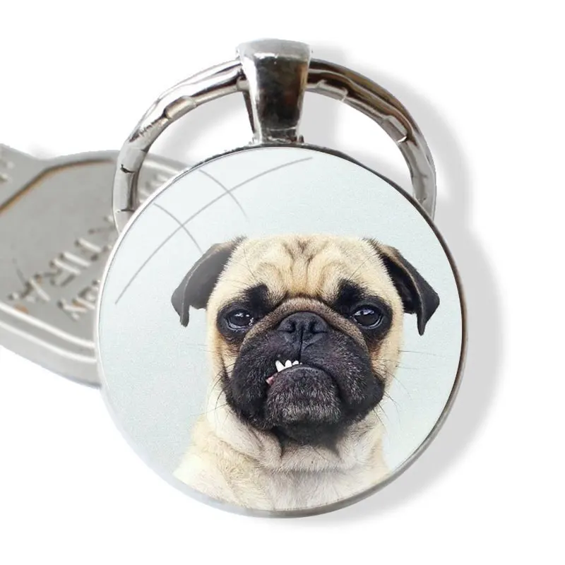 pug dpt Keychain Handmade Glass Cabochon Key Ring Holder Pendant Key Chains image 5