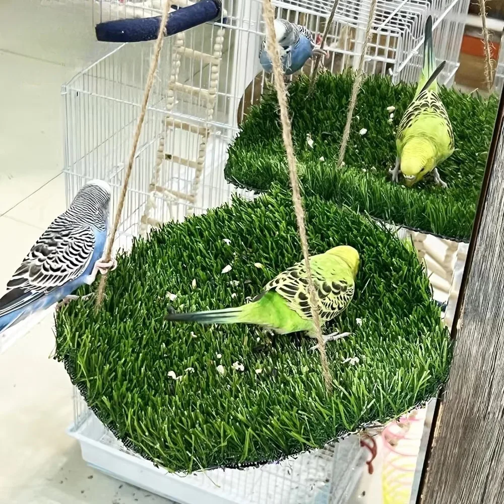 Bird Swing for Parakeets Pets Grass Swing Mat Parrot Cage Hammock with Adjustable Rope Hook and Grass Mats Birds Foraging Toys