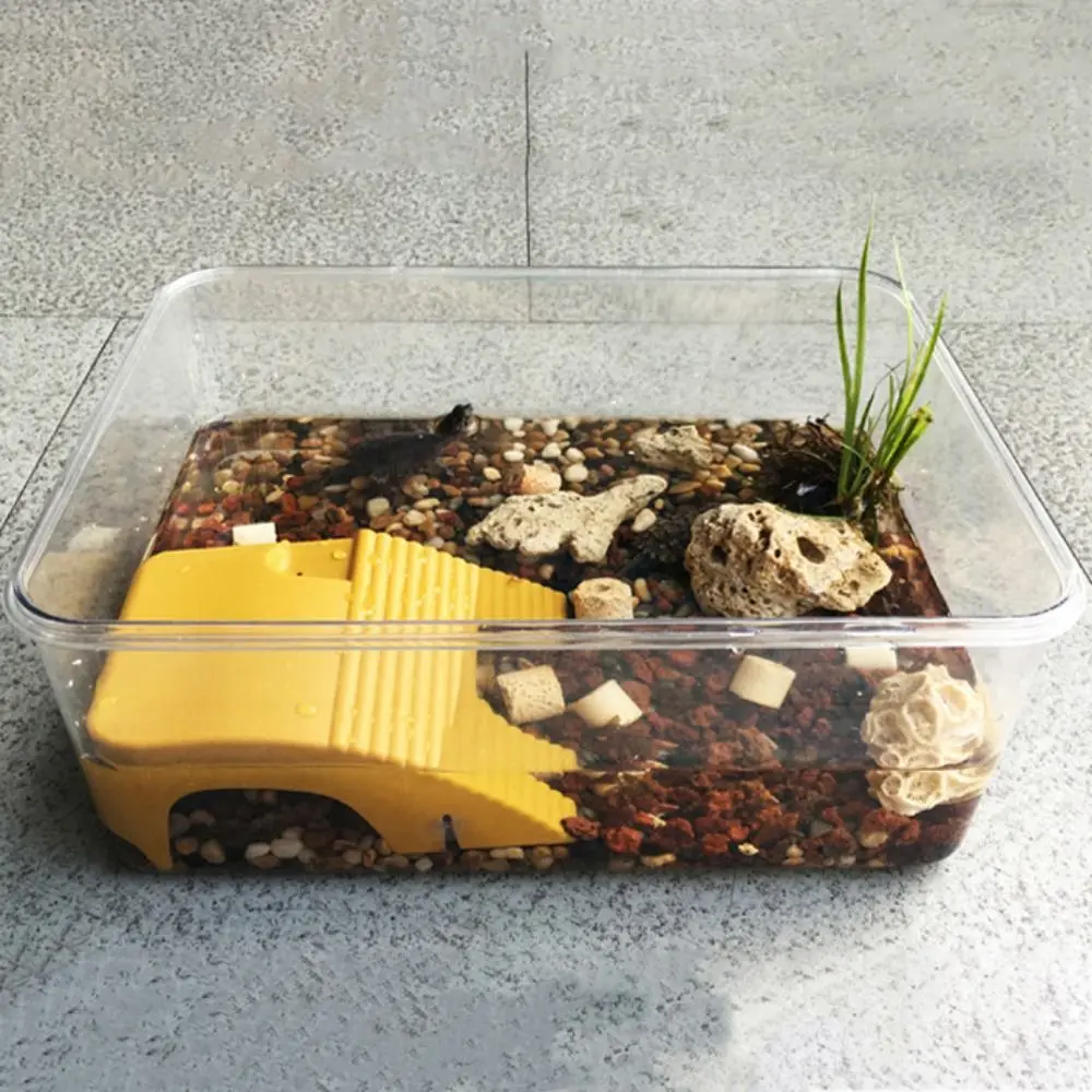 Adjustable Reptile Platform Plastic Double Track Turtle Climbing Platform with Suction Cups Turtle Basking Table Lizards