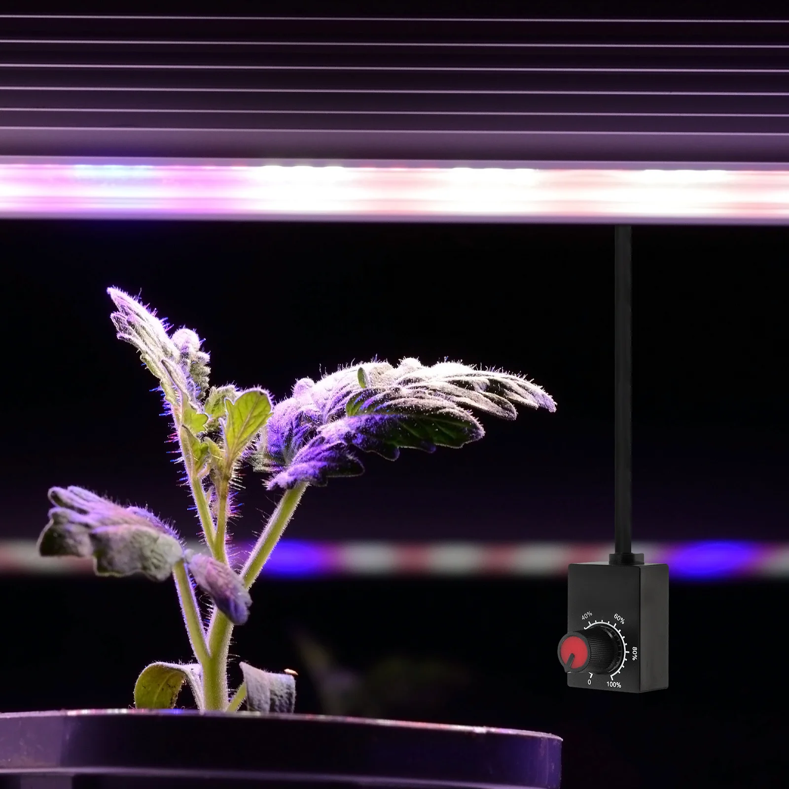 

Knob LED Dimmer Mini Rotary Controller Crimp Terminal for Dimmable LED Drivers Indoor Grow Light Pwm Plant Light Dimmer Switch