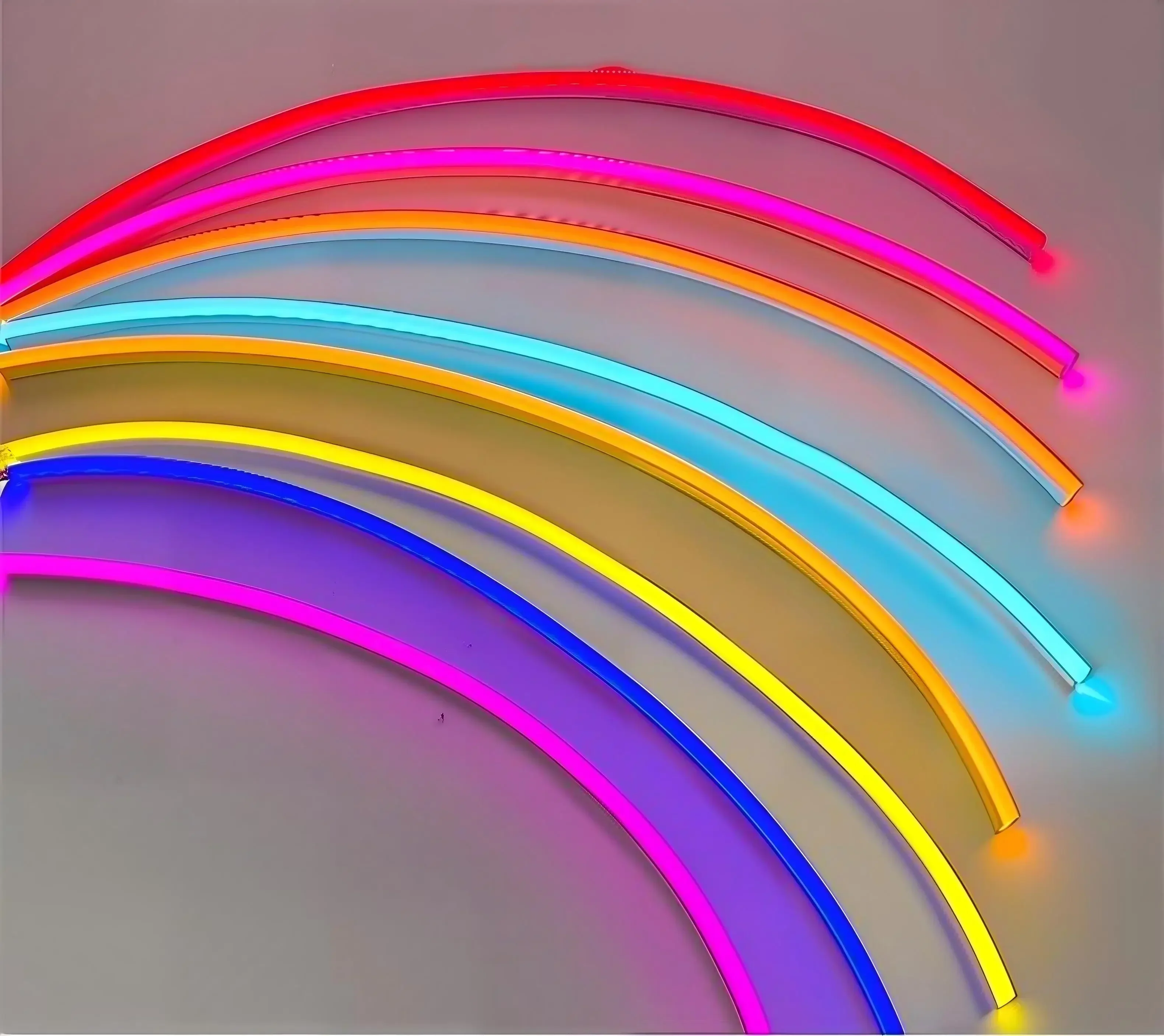 LED Neon Light Strip DC 12V Waterproof Neon Sign 6X12mm Silicone Rope Lights Flexible Lamp Decoration with DC Plug/2pin Wire